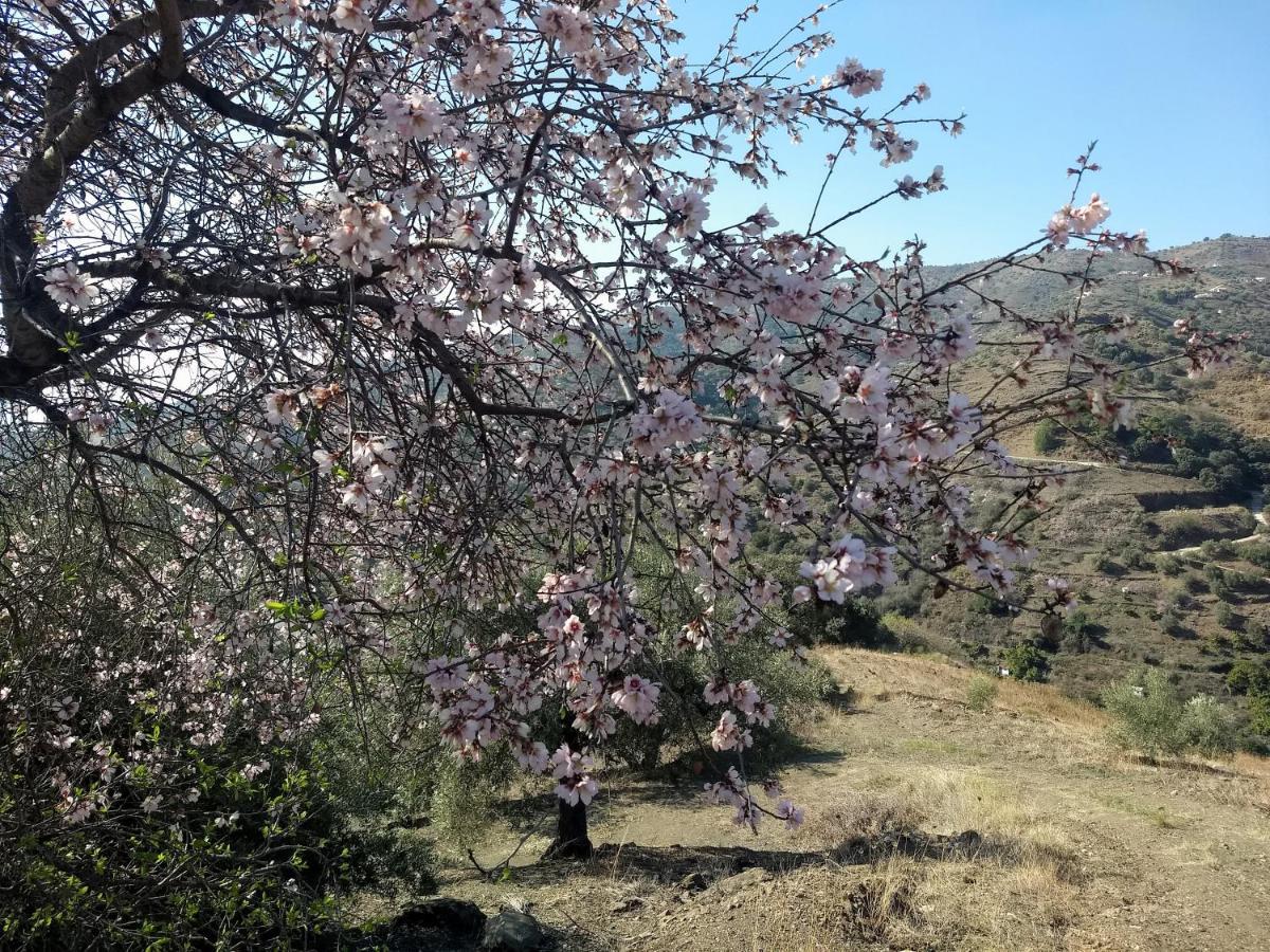 콤페타 Casa Trigo 빌라 외부 사진